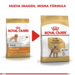 Royal Canin Poodle Adulto 2.5kg