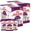 Royal Canin Pouch pack Sensory Mix 85 grs x 12