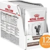 Royal Canin Pouch Vet Diet Felino Gastro Intestinal 85gr x 12 unidades