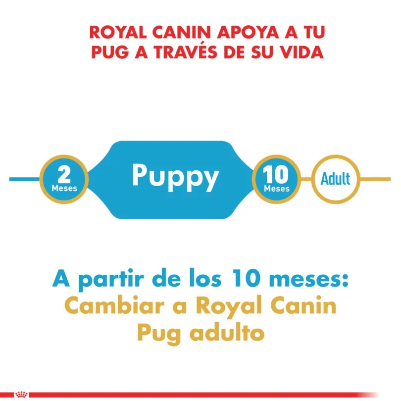 Royal Canin Pug Junior 2.5kg