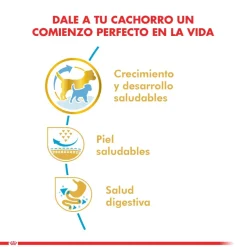 Royal Canin Pug Junior 2.5kg