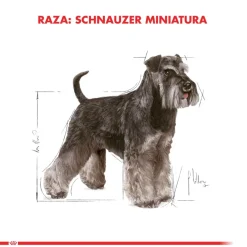 Royal Canin Schnauzer Adulto 3kg