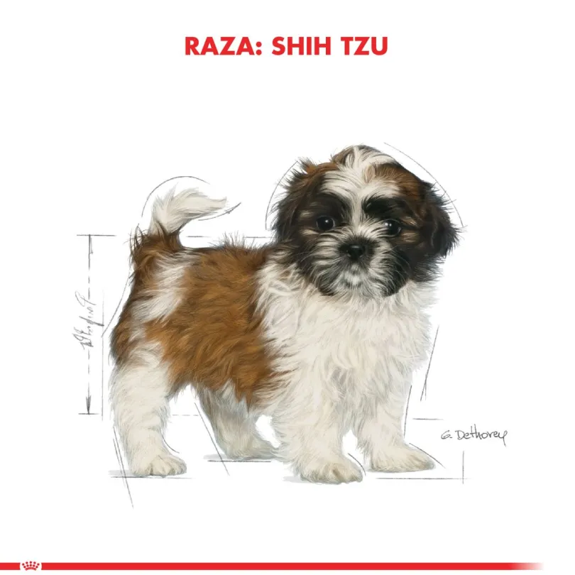 Royal Canin Shih Tzu Junior 2.5kg