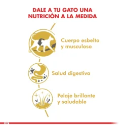 Royal Canin Siamese 1.5kg