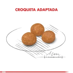 Royal Canin XSmall Adult 2.5kg