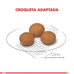 Royal Canin XSmall Mature 8+ 1kg