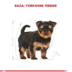 Royal Canin Yorkshire Terrier Puppy 3kg