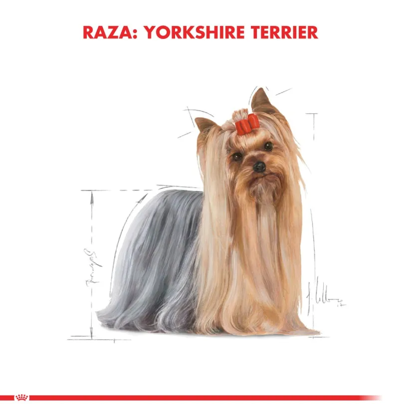 Royal Canin Yorkshire Terrier Adulto 7.5KG