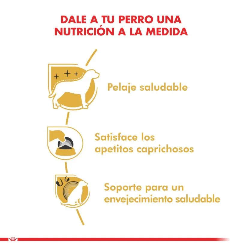 Royal Canin Yorkshire Terrier Adulto 2.5kg