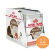 ROYAL CAT AGEING 12+ POUCH x 12UN
