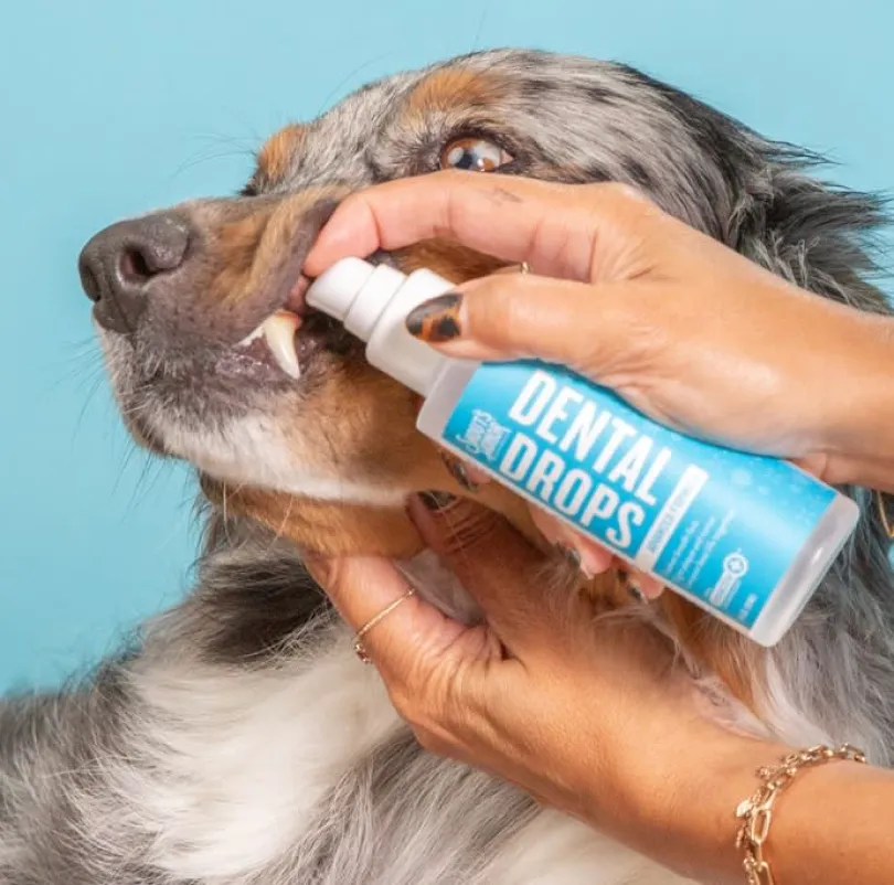 Skout's Honor Gotas para Cuidado Dental 118 ml