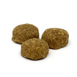 Summit 10 Dog Adult All Breeds 3kg