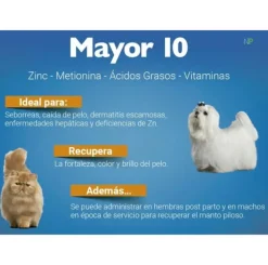 Suplemento nutricional MAYOR 10 pelo y piel 30 comp