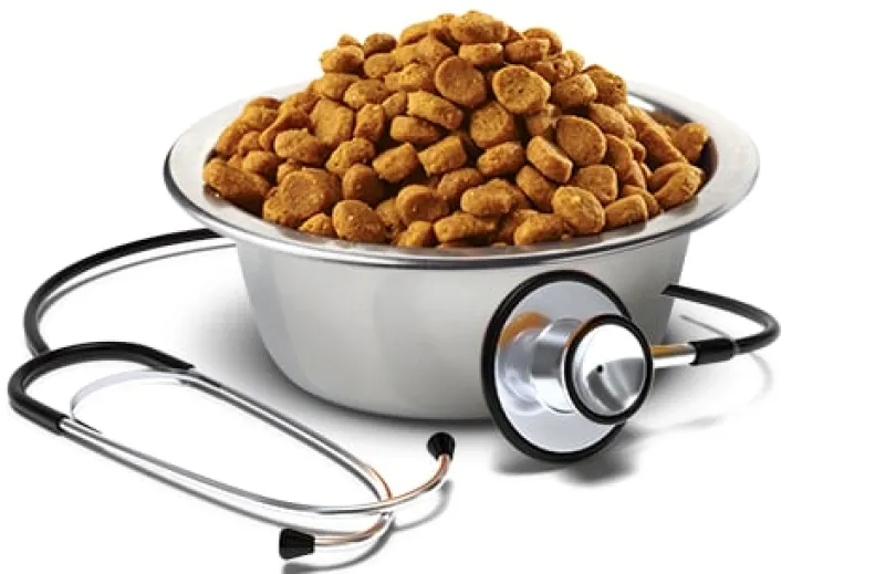 Vet Life Dog Mini Renal 2kg