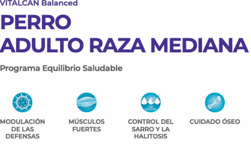 VitalCan Perro Adulto Raza Grande 15kg
