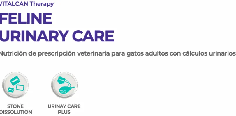 VitalCan Therapy Felino Urinary 2kg