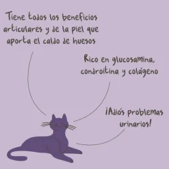 Winga Caldo de Huesos para Gatos 180gr