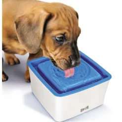 Zeus Mini Bebedero 1.5 litros