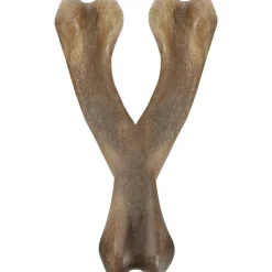 Zeus Nosh Wishbone sabor Pollo - Selecciona el tamaño
